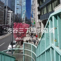 渋谷三丁目歩道橋